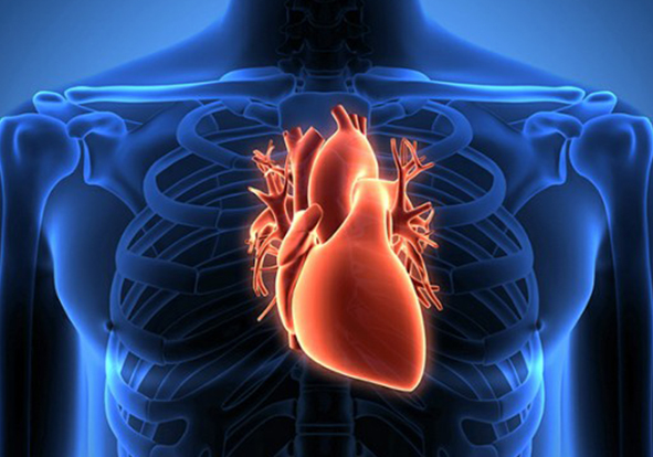 Heart Transplant Specialist in india